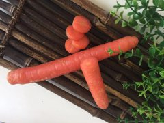 肚子老是咕咕響是什么原因?胃腸的護(hù)理