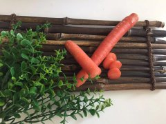 專家提醒：早起晨練有4大誤區(qū)要格外注意！