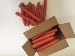  打太極拳的好處有哪些？促進血液循環(huán)顯而易見！