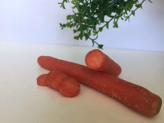 氣功練習(xí)能養(yǎng)生，練習(xí)誤區(qū)須記清！