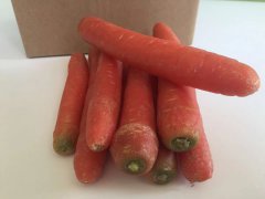 氣功養(yǎng)生的特點(diǎn)