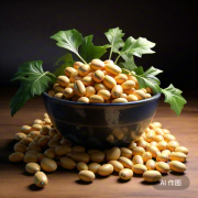 腐竹的營養(yǎng)價值有哪些？如何科學(xué)食用腐竹